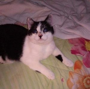 Meet your Posher, Patti